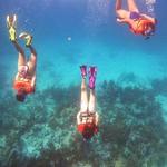 Diving & snorkeling - Silent world dive center Key Largo