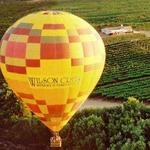A Grape Escape Balloon Adventure