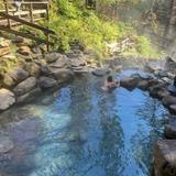 Terwilliger Hot Springs