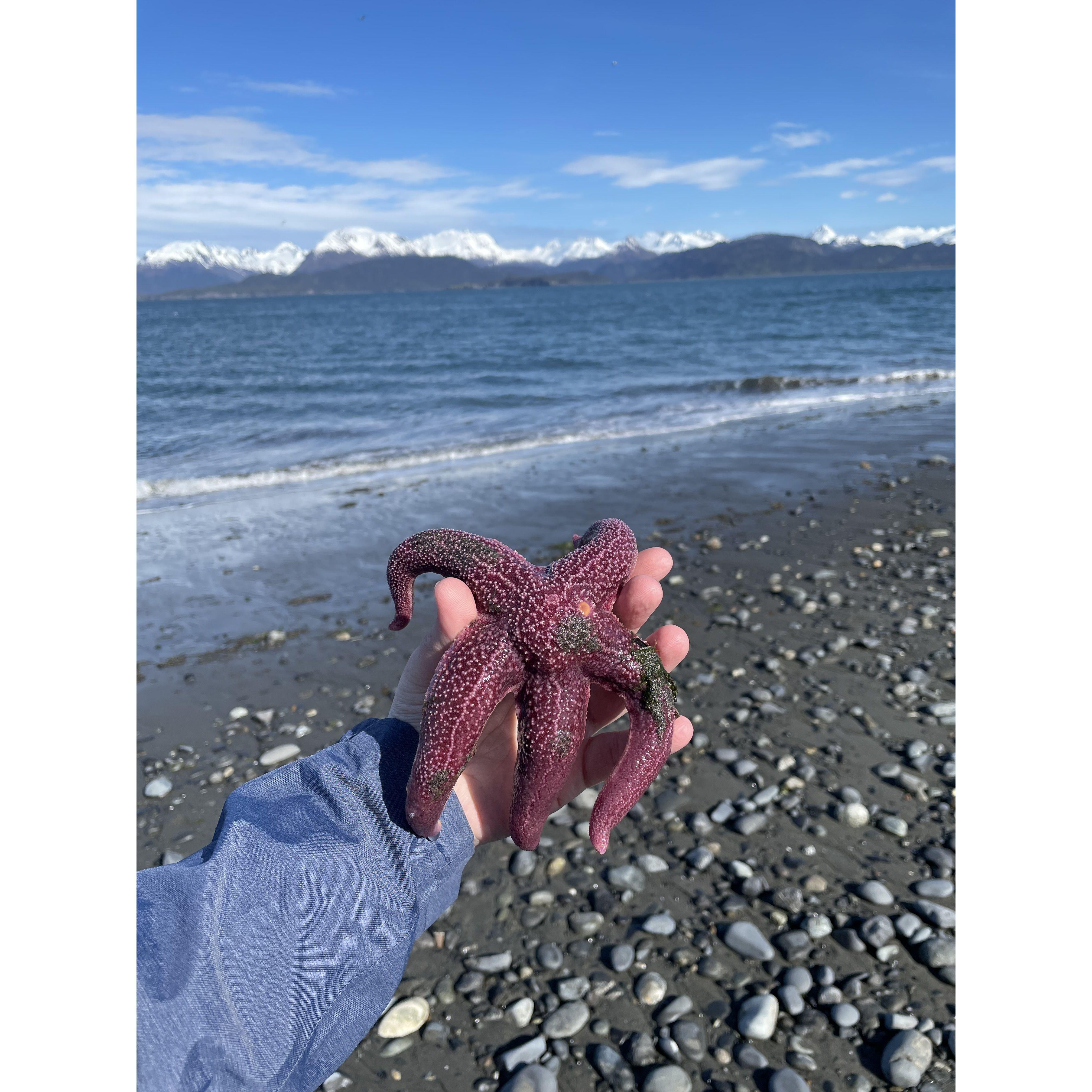 Sam's first fishing "catch," at Land's End on the Homer Spit.