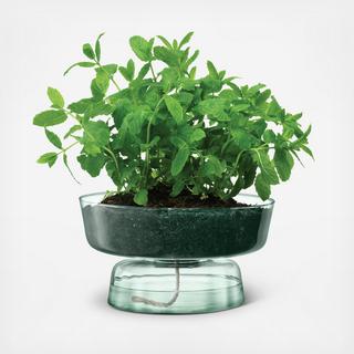 Canopy Self Watering Planter