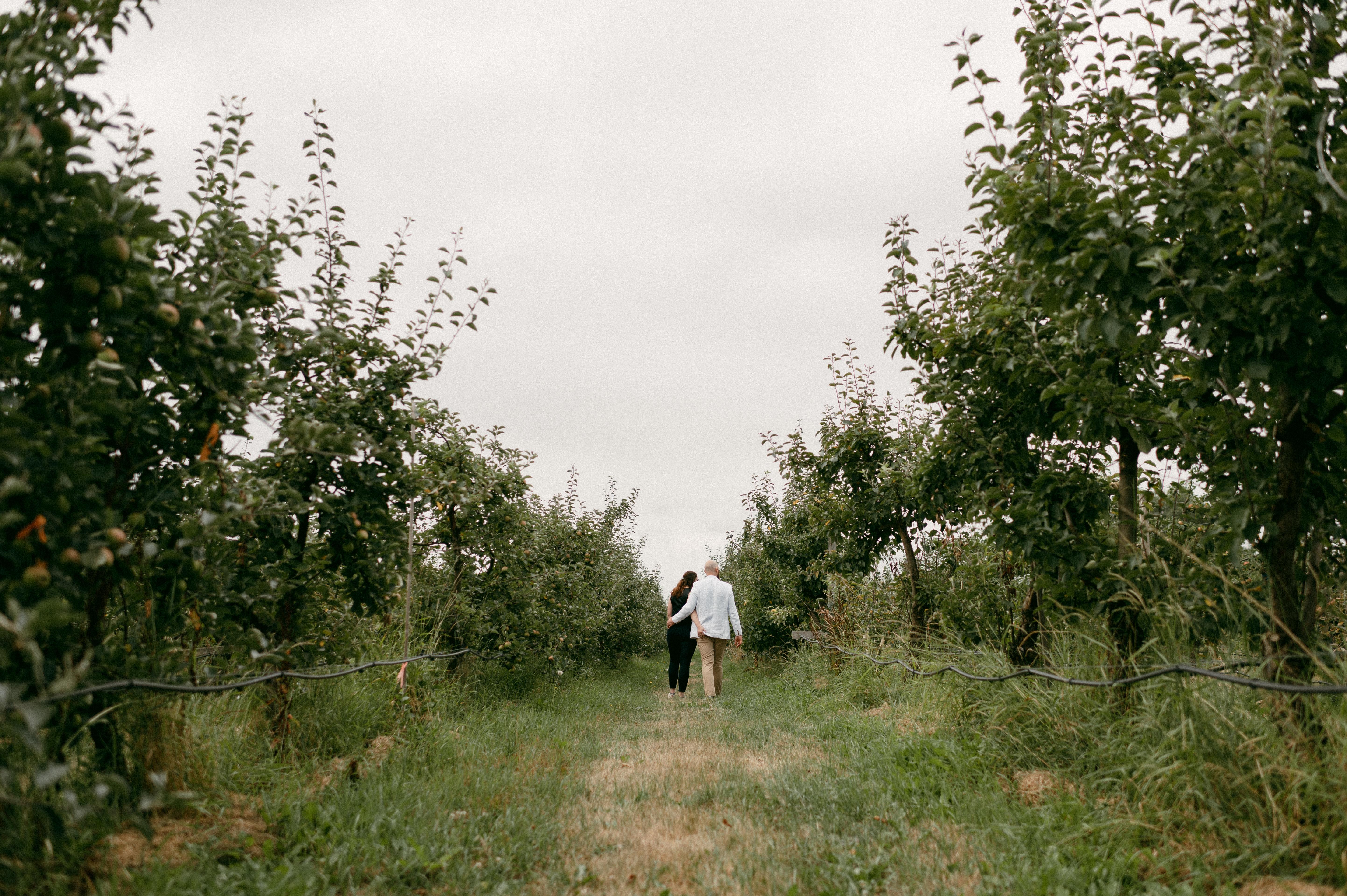 The Wedding Website of Beth Sanders and Bryan Hendrick