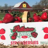 Patterson Farm Market & Tours Inc