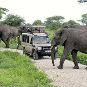 Game Drive in Tarangire National Park
