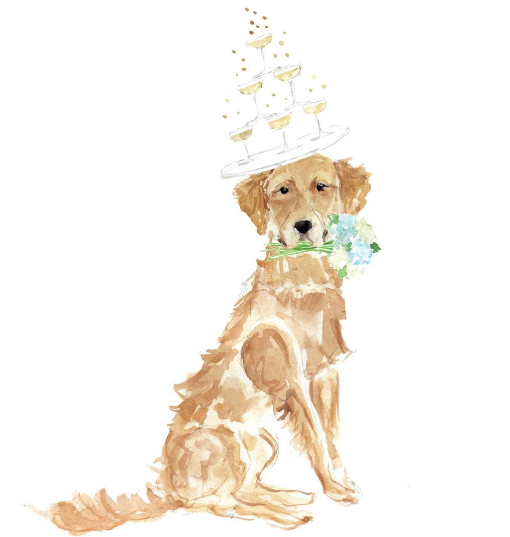 The Wedding Website of John Ohmstede and Michelle Gaylord