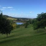 Hunter Valley / Vineyards