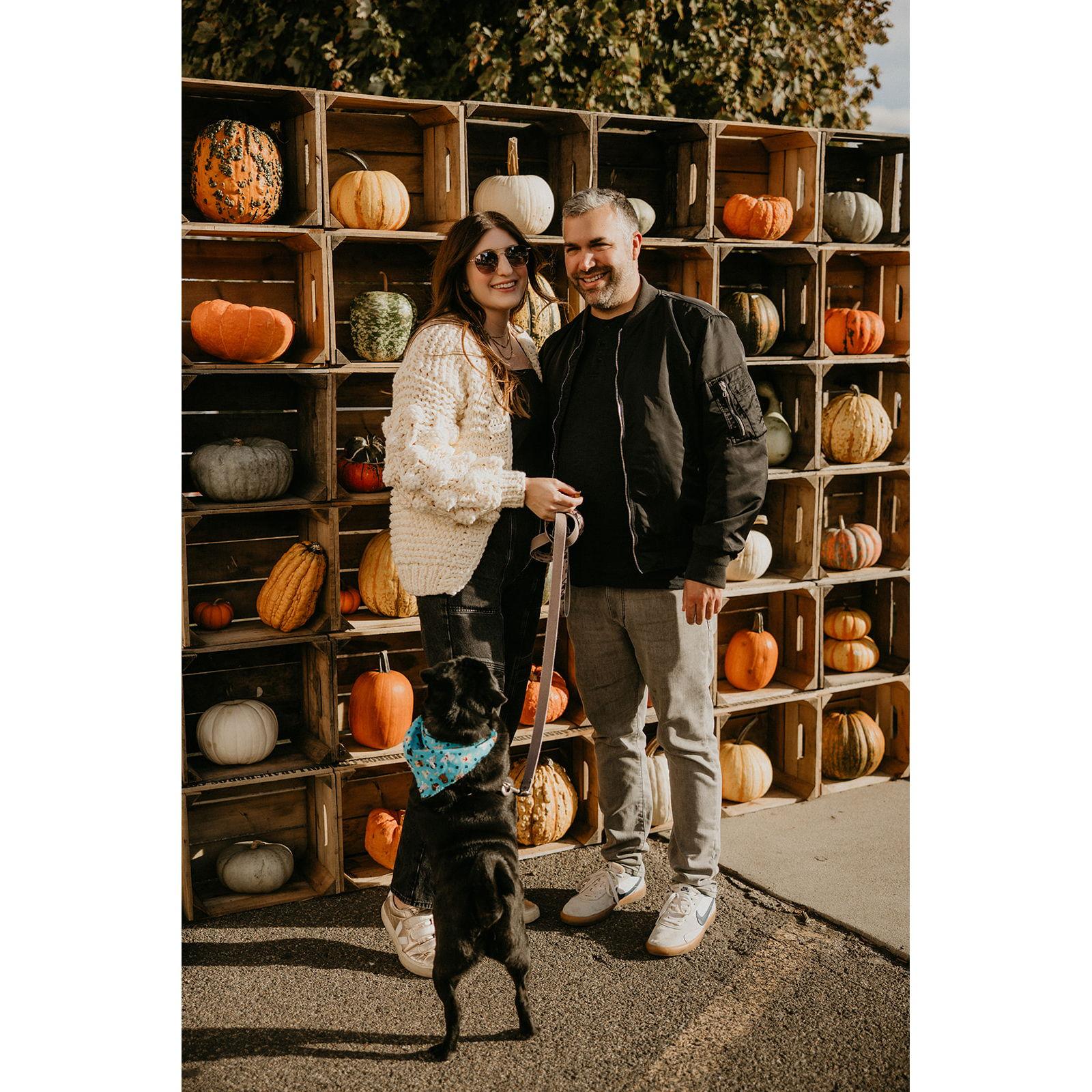fall afternoons in Union Market