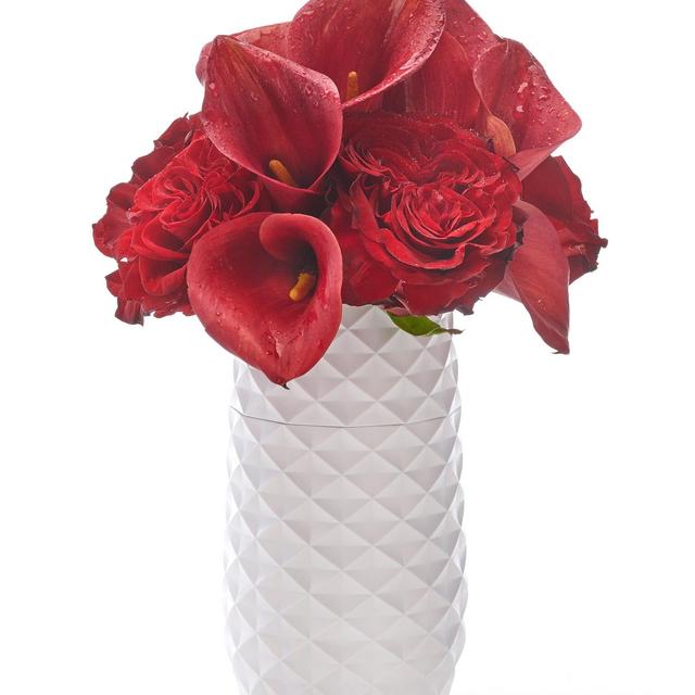 The Amaranth Vase - 7.5" Smarter Vase for Floral Care in White