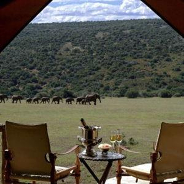 Dinner in the African Bush