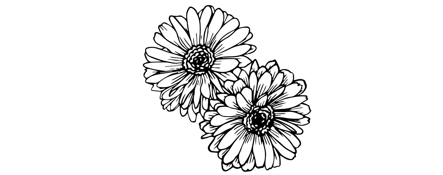 The Wedding Website of Grey Waletich and David Crady
