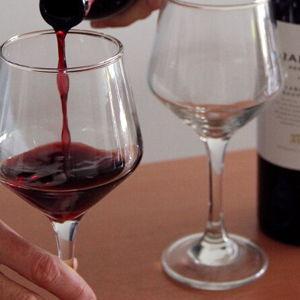 Wine Tasting of Argentine Malbecs