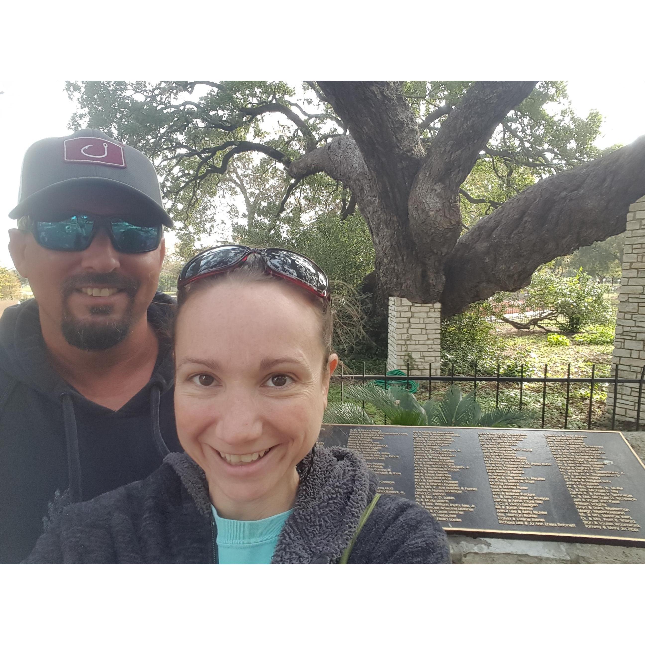 Founder's Oak
Landa Park
New Braunfels