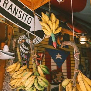 Our Honeymoon in Puerto Rico