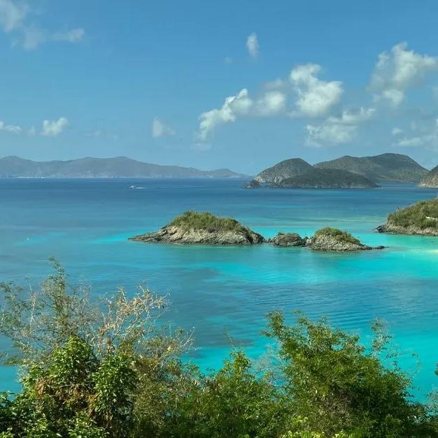 Honeymoon Excursion: St. John Trunk Bay Beach & Swim