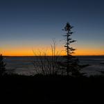 Acadia National Park