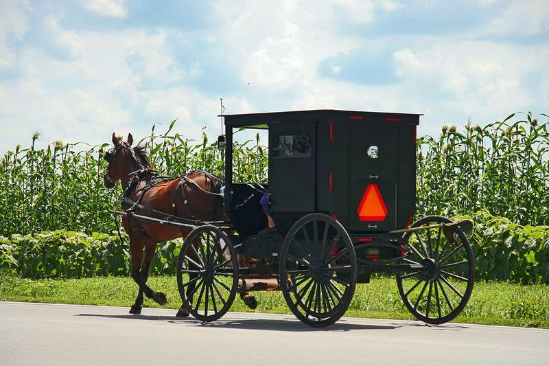 The Wedding Website of Andrew Burks and Victoria Montgomery
