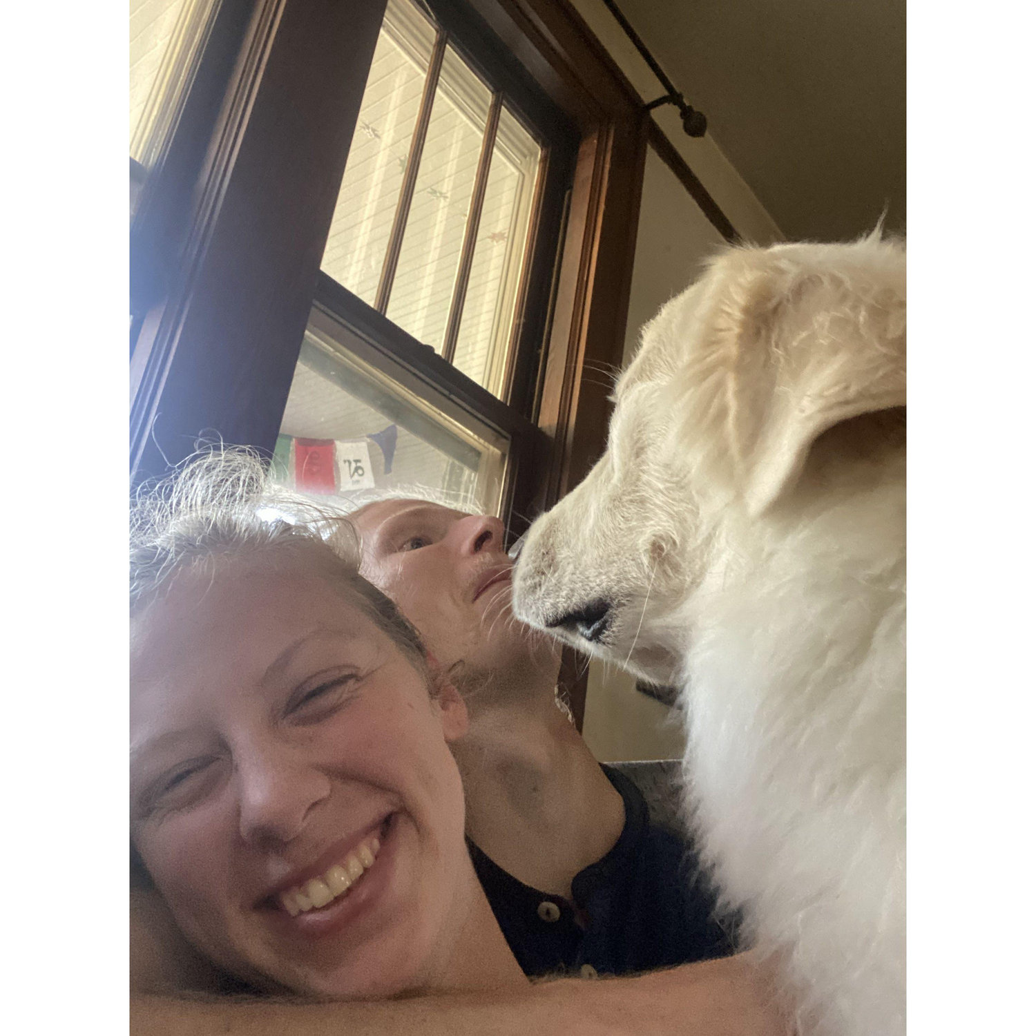 the many dog kisses from Tay's pet sitting gigs