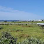 Silver Sands State Park