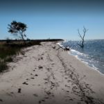 Janes Island State Park