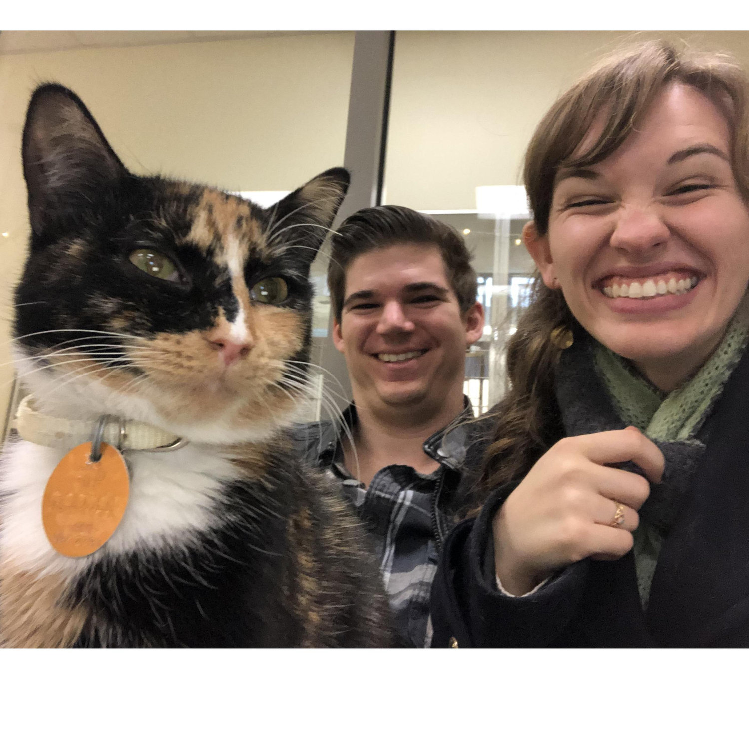 Matt took Elizabeth to the Humane Society to pet cats on their first anniversary. This cat was the coolest.