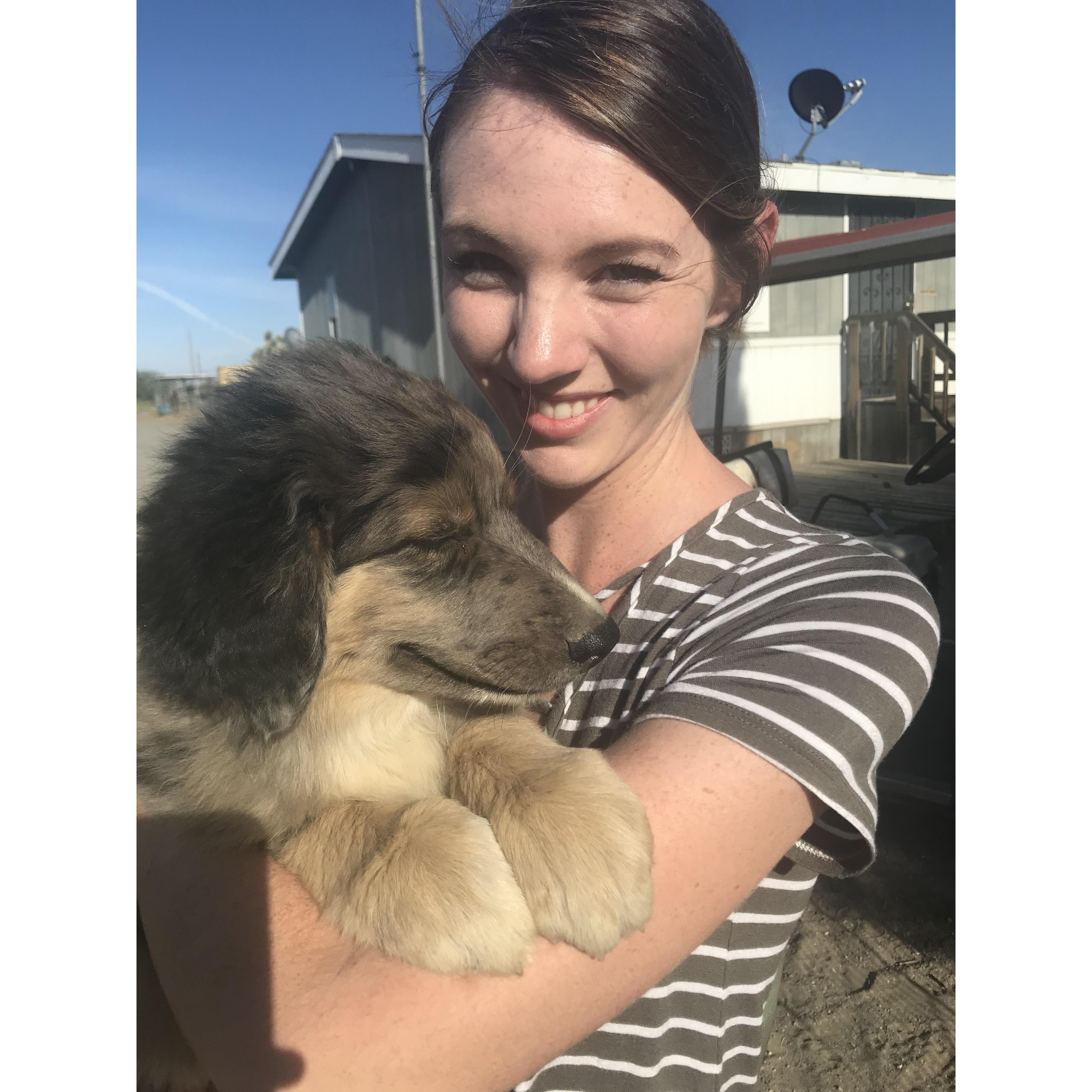 "So .. we did a thing"