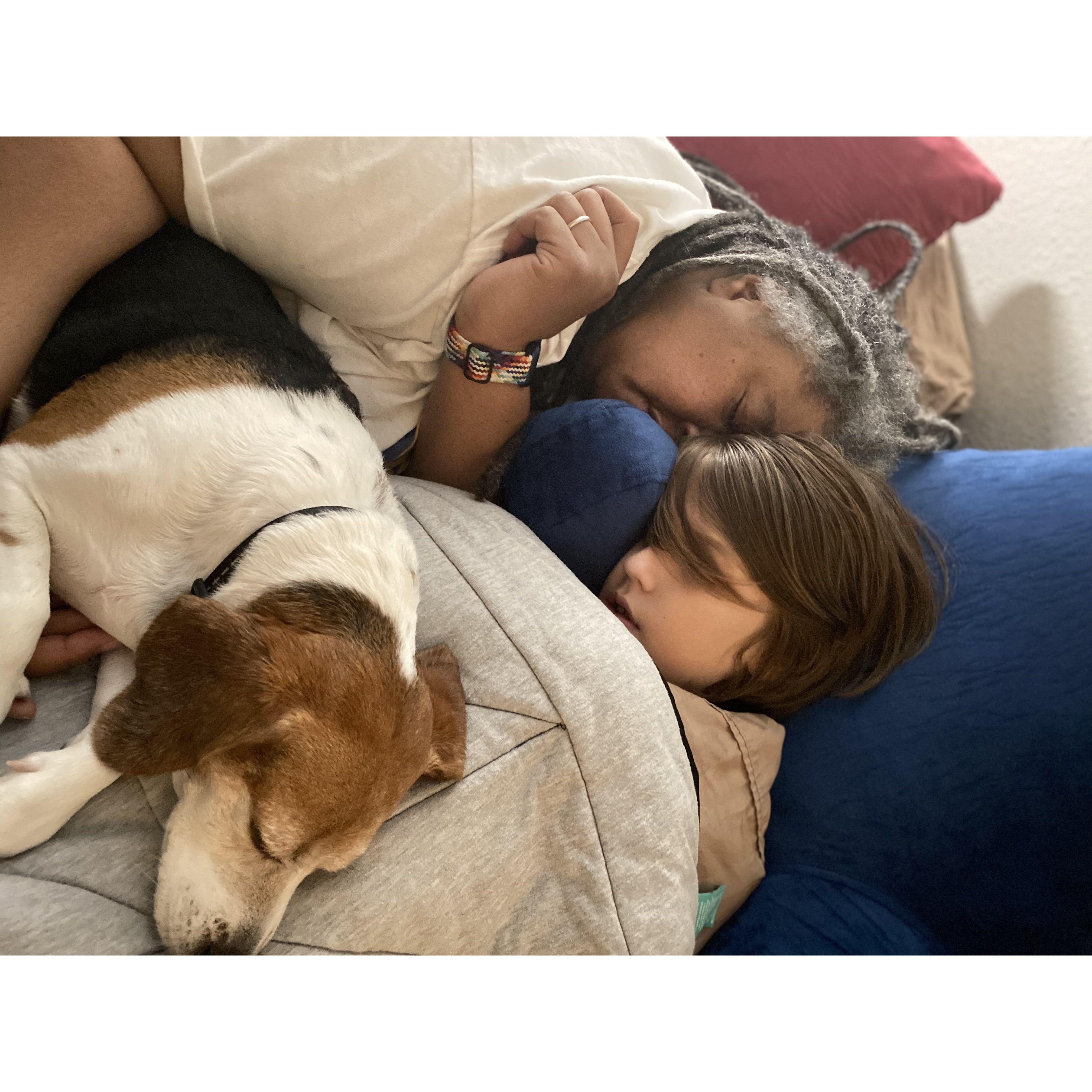 Erin's favorite sleeping beauties