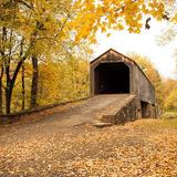 Tyler State Park