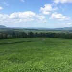 Bartholomew's Cobble Reservation