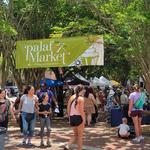 Palafox Market