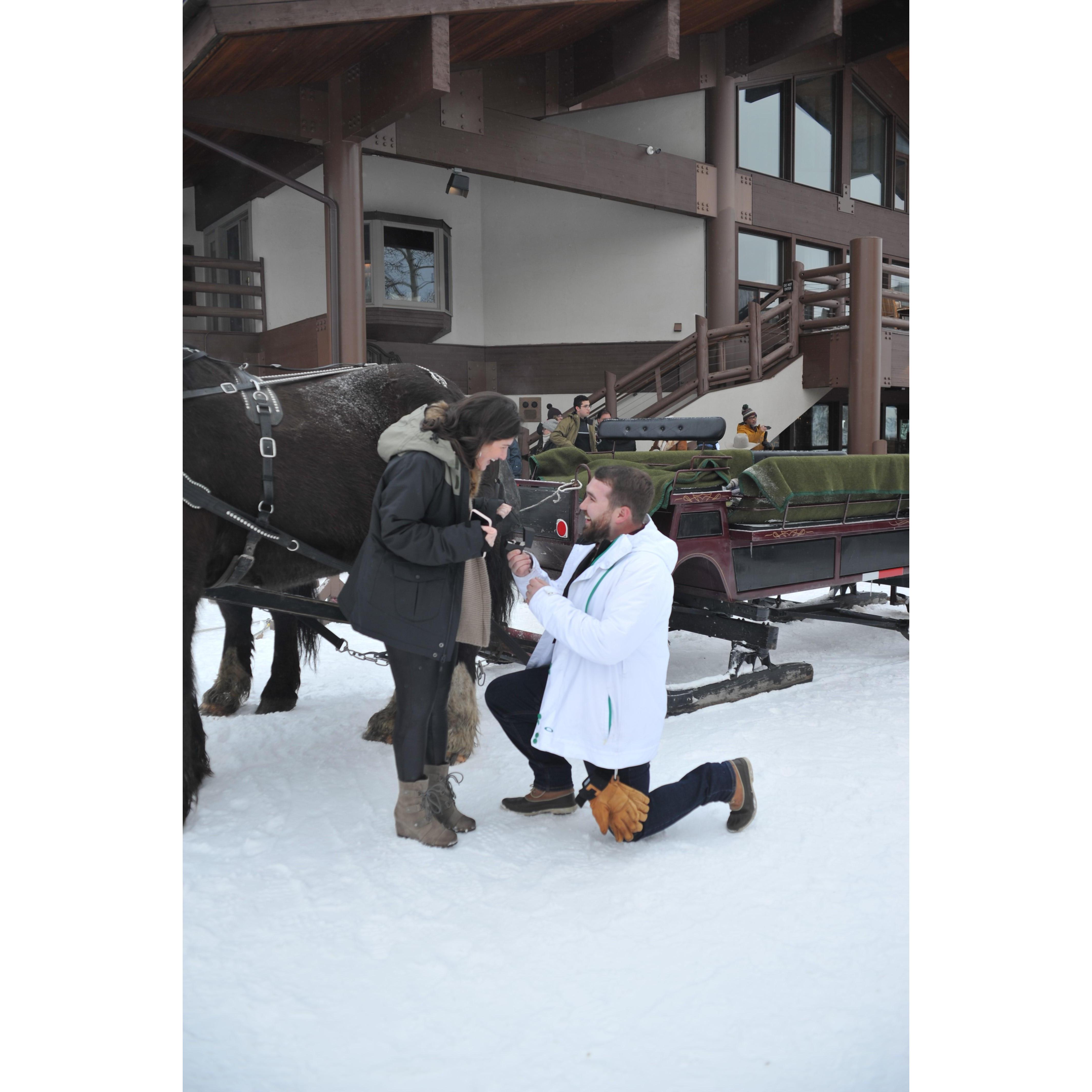 Noah's surprise proposal right before a snowy horse drawn carriage ride in Park City, Utah.