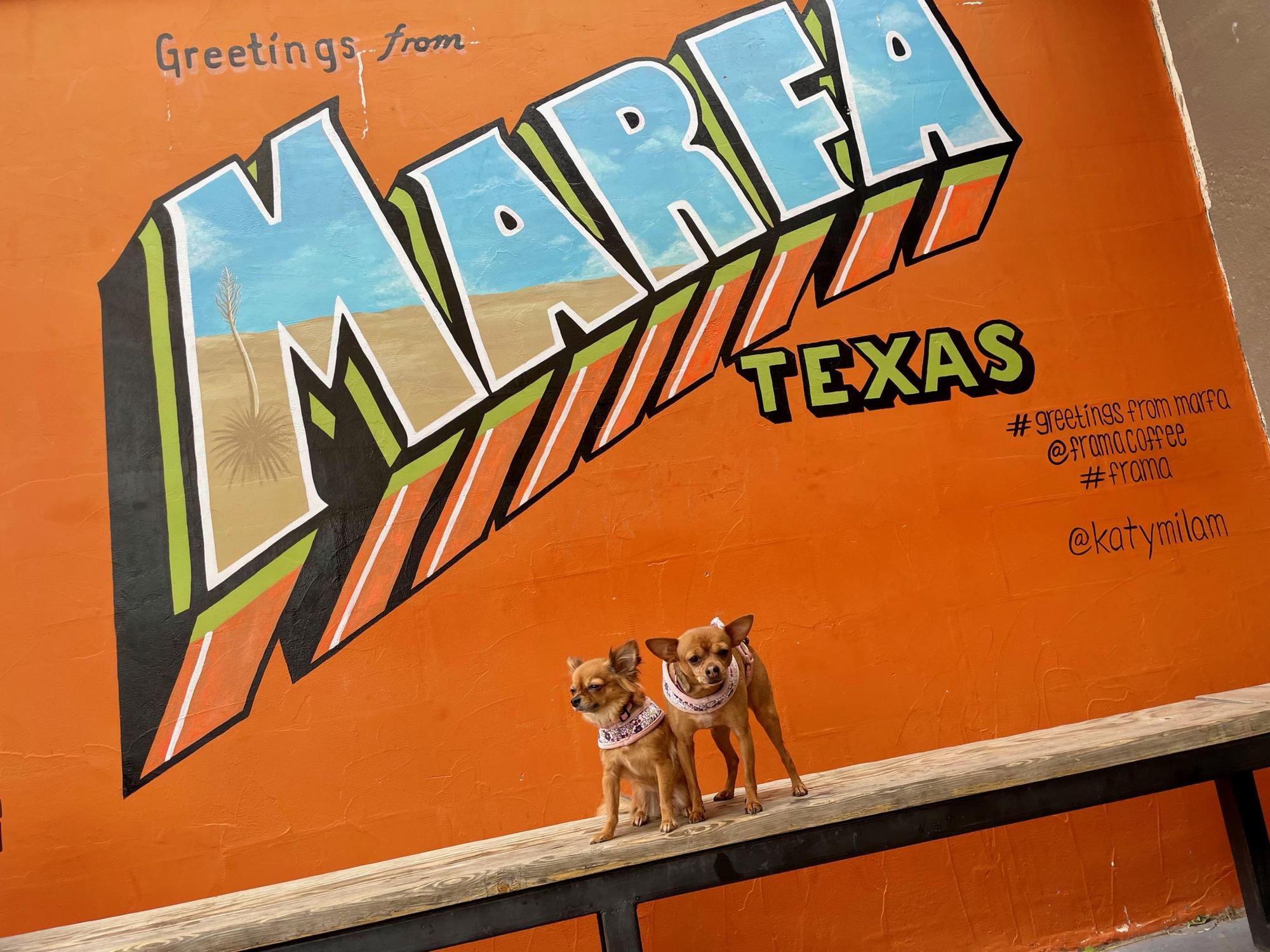 Marfa and Gracie went to Marfa! Thanksgiving 2021