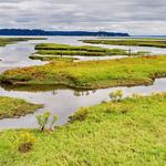 Billy Frank Jr. Nisqually National Wildlife Refuge