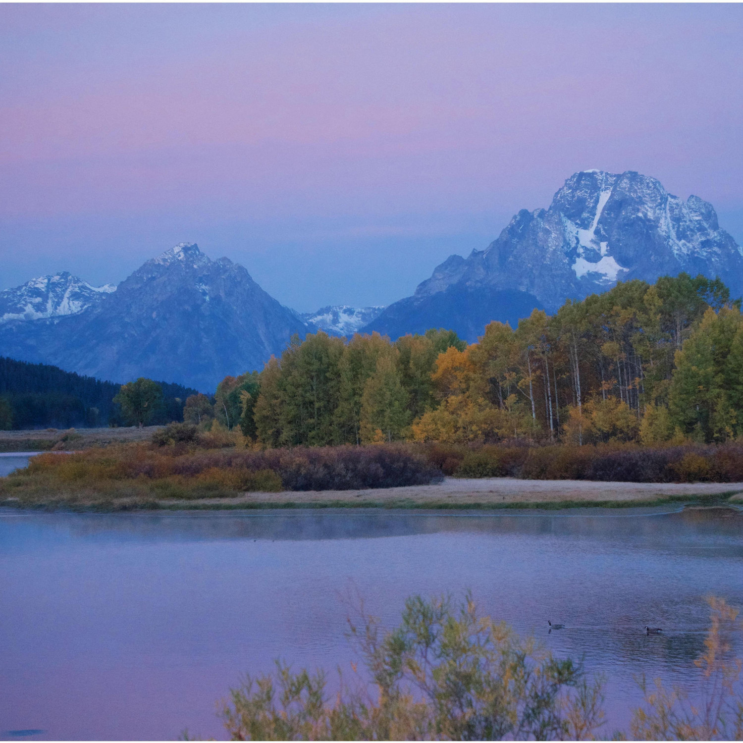Mount Moran!