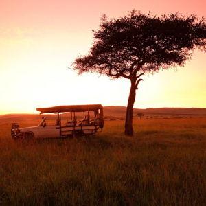 Sunrise Game Drive