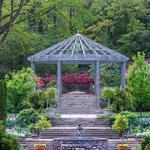 Nature: Sarah P. Duke Gardens