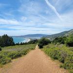 Mount Tamalpais State Park