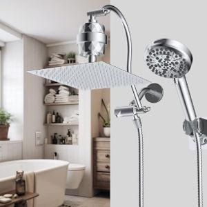 Dual Filtered Rainfall Shower Head ComboChrome