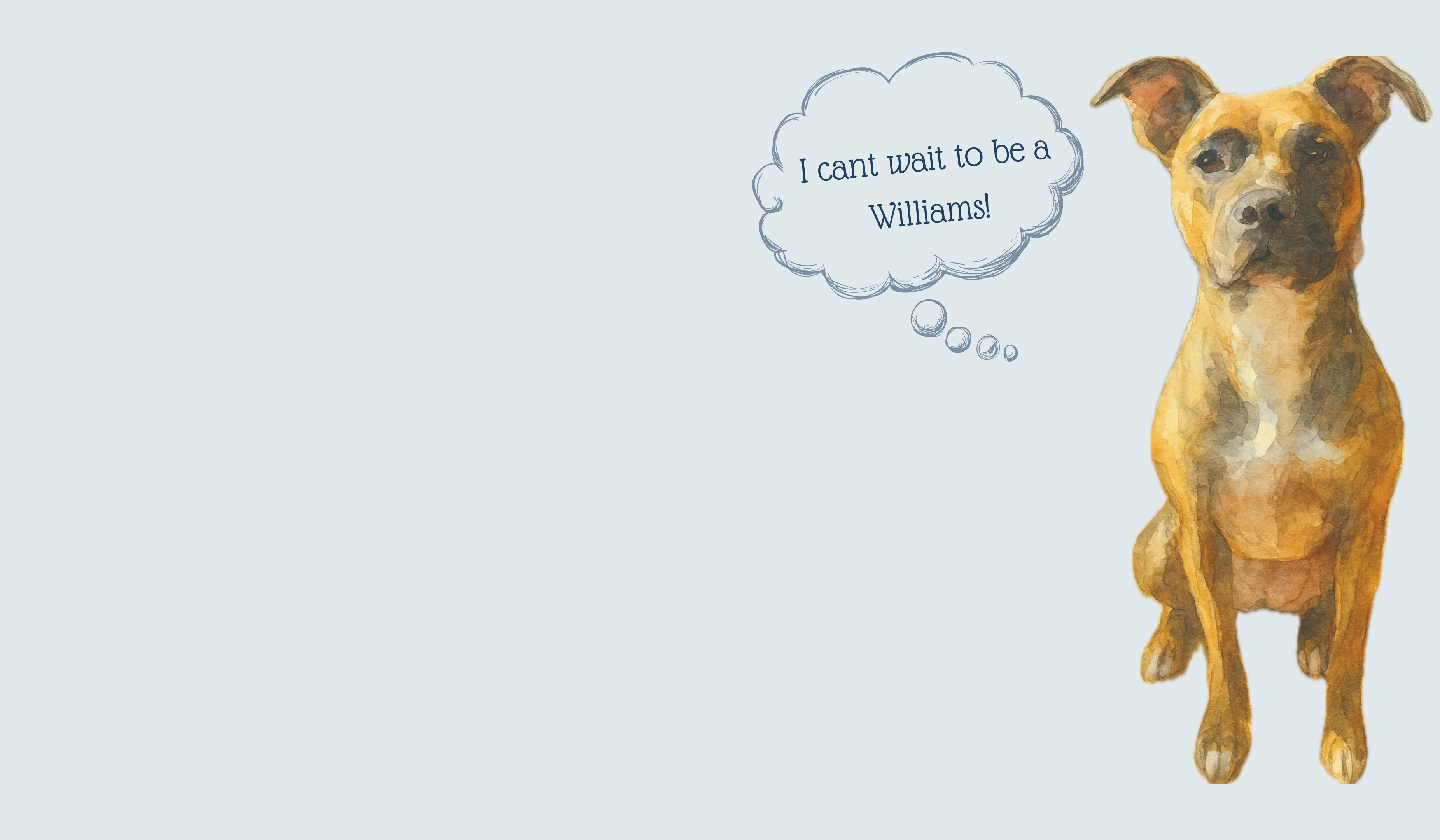 Footer image