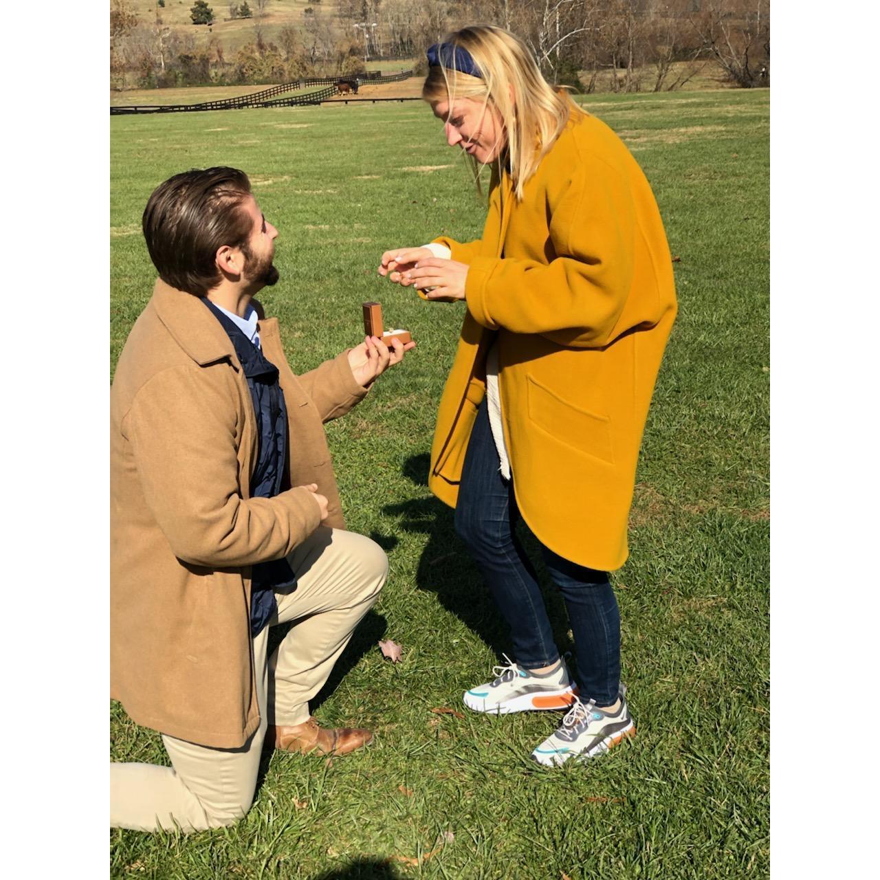 Unsure if Kara actually said yes