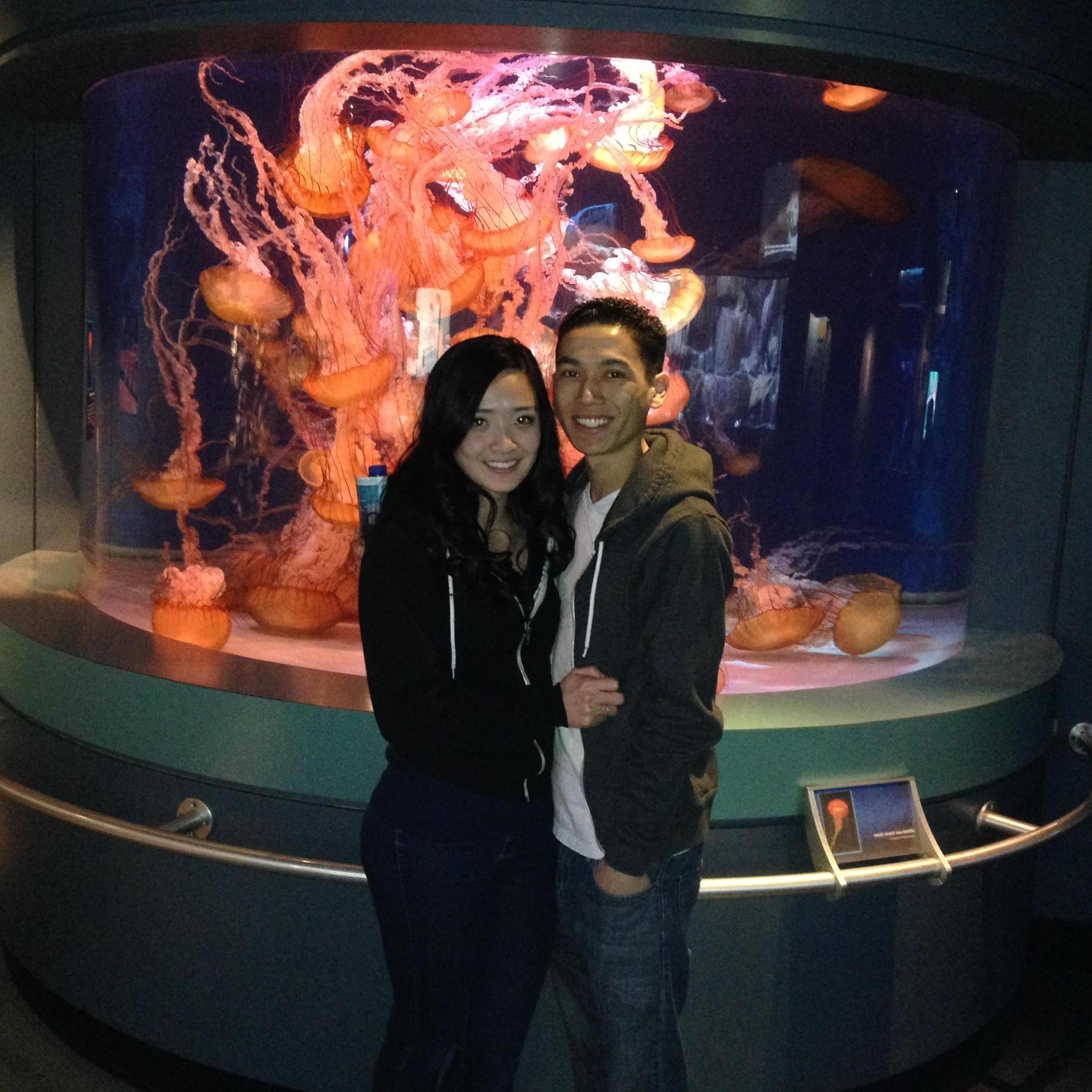 Aquarium of the Pacific
January 16, 2014