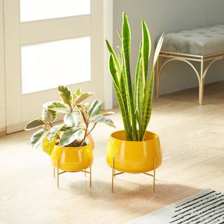 2-Piece Oblong Contemporary Planter Set