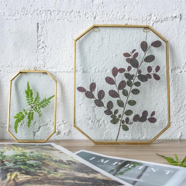 Wall Hanging Long Octagon Herbarium Brass Glass Frame for Pressed Flowers, Dried Flowers, Poster, Double Glass, floating Frame 6"