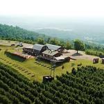 Carter Mountain Orchard