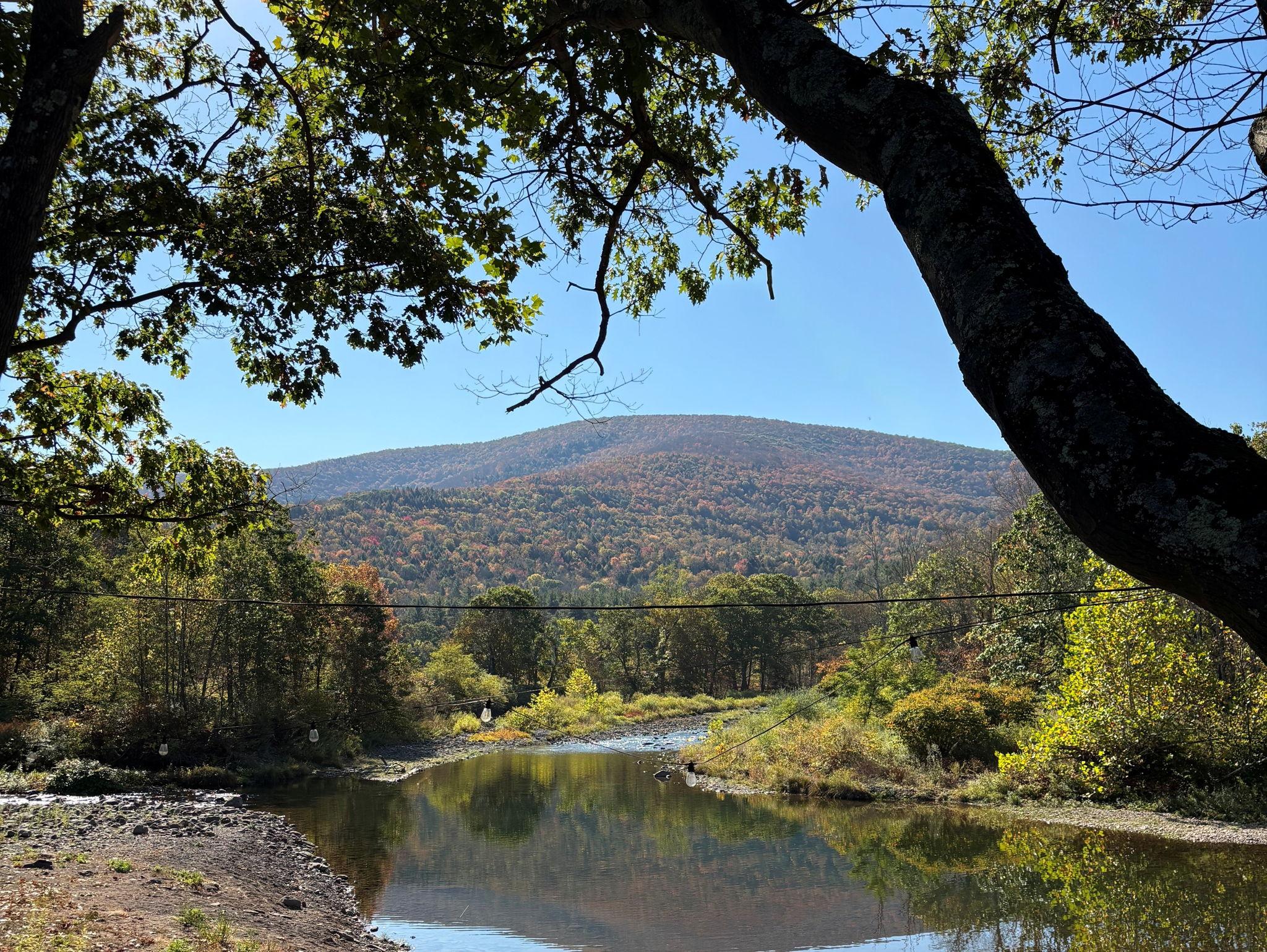 The Wedding Website of Maya Murphy and Misho Guy