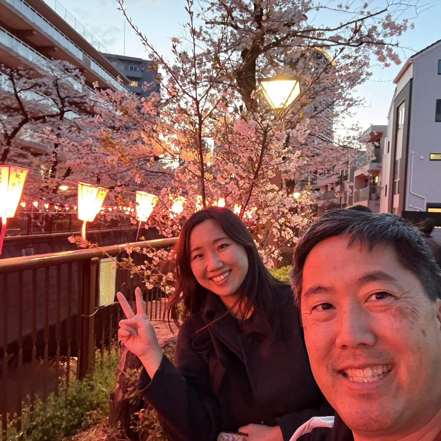 Cherry blossoms along the Meguro River in Tokyo, Japan (April 4, 2025)