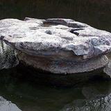 Round Rock of Round Rock