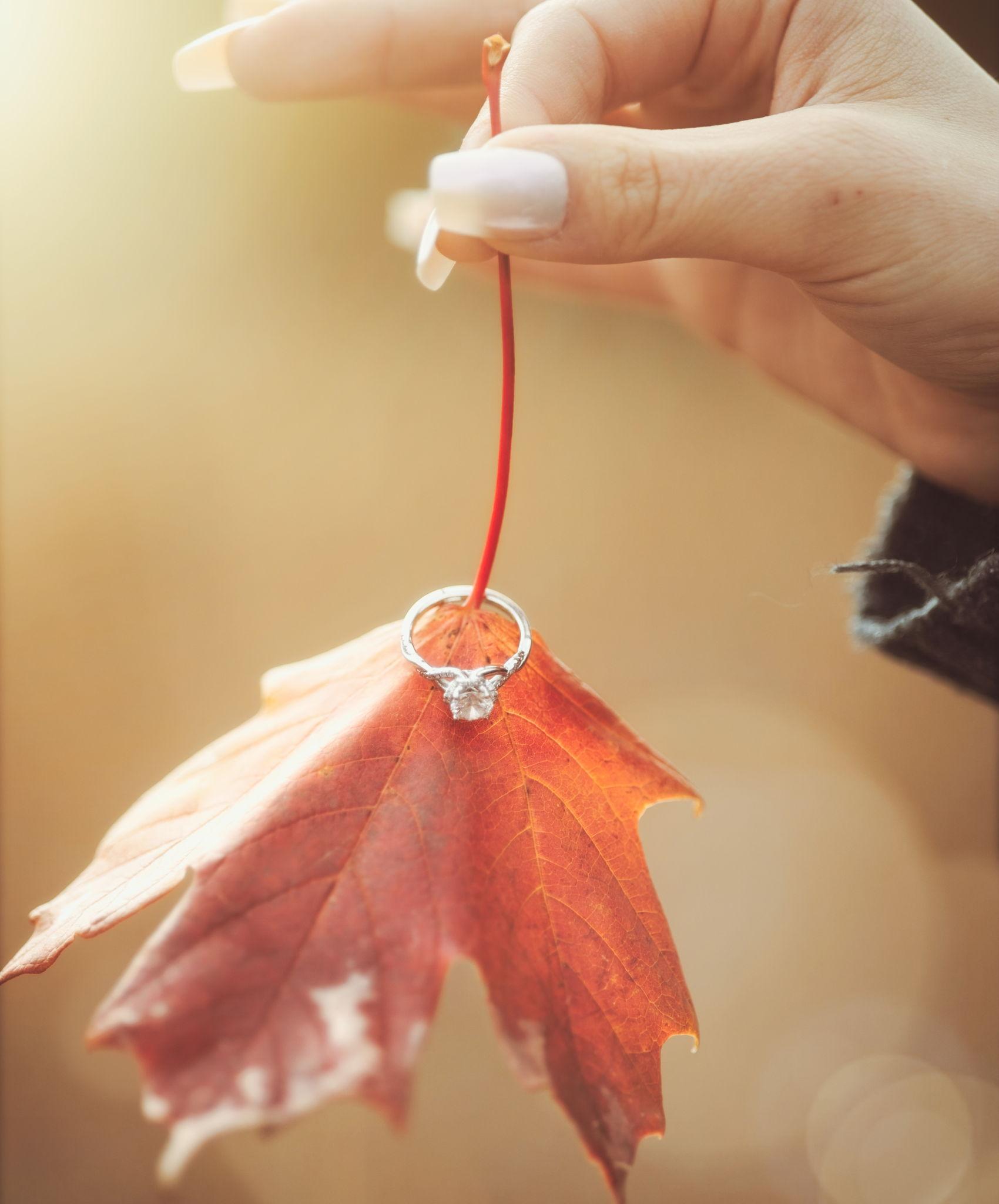 The Wedding Website of Alyssa Lehrer and Joe Kim