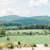 Pippin Hill Farm & Vineyards