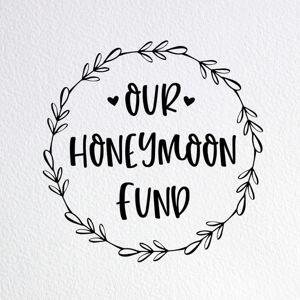 Our Honeymoon Fund!