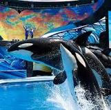 SeaWorld Orlando